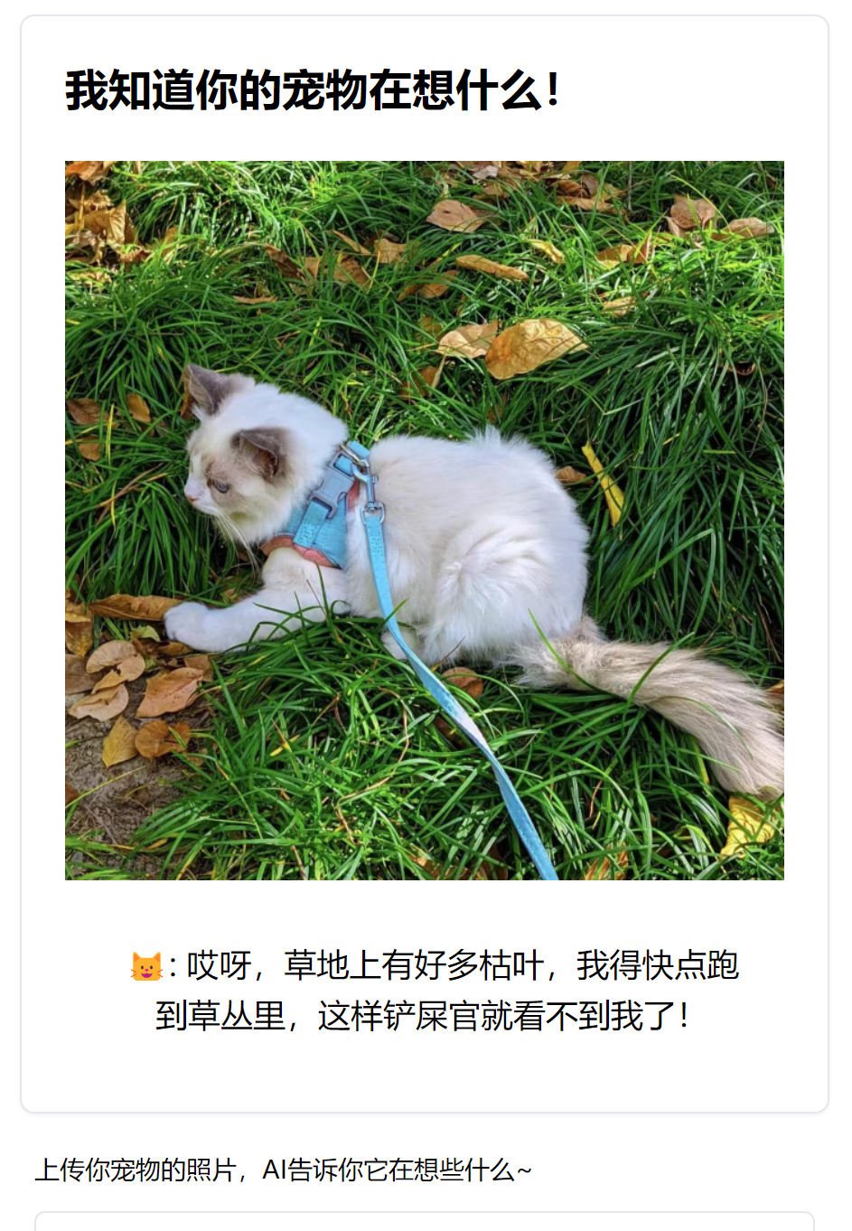 我知道你的宠物在想什么！