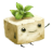 TofuPass